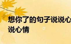 想你了的句子说说心情短句 想你了的句子说说心情