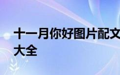 十一月你好图片配文字 十一月你好带字图片大全