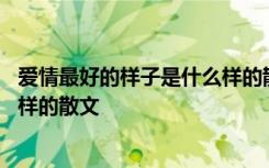 爱情最好的样子是什么样的散文作文 爱情最好的样子是什么样的散文