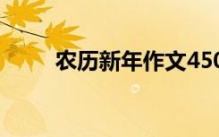 农历新年作文450字 农历新年作文