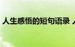 人生感悟的短句语录 人生感悟短句摘录50条