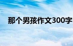 那个男孩作文300字 那个男孩作文500字