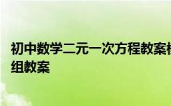 初中数学二元一次方程教案模板范文 初一数学二元一次方程组教案