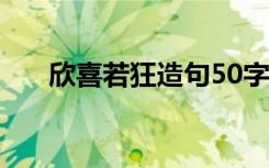 欣喜若狂造句50字左右 欣喜若狂造句