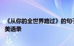 《从你的全世界路过》的句子语录 从你的全世界路过经典唯美语录