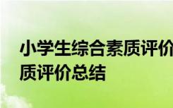 小学生综合素质评价总结图片 小学生综合素质评价总结