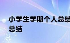 小学生学期个人总结300字 小学生学期个人总结