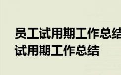 员工试用期工作总结报告表300字 最新员工试用期工作总结