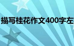 描写桂花作文400字左右 描写桂花作文400字