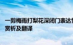 一剪梅雨打梨花深闭门表达情感 一剪梅雨打梨花深闭门原文赏析及翻译