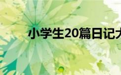 小学生20篇日记大全 小学生小日记