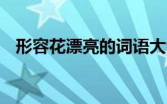 形容花漂亮的词语大全 形容花漂亮的词语