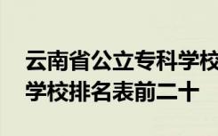 云南省公立专科学校排名榜 云南省公办专科学校排名表前二十