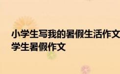 小学生写我的暑假生活作文 小学生我的暑假作文400字-小学生暑假作文