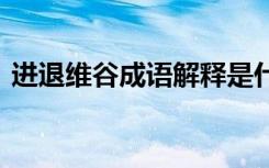 进退维谷成语解释是什么 进退维谷成语解释