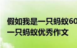 假如我是一只蚂蚁600字作文6年级 假如我是一只蚂蚁优秀作文