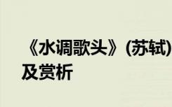 《水调歌头》(苏轼) 苏轼《水调歌头》原文及赏析