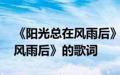 《阳光总在风雨后》歌词有节奏 《阳光总在风雨后》的歌词