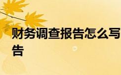 财务调查报告怎么写 范文 财务状况的调查报告