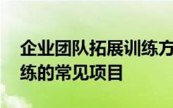 企业团队拓展训练方案大全 企业团队拓展训练的常见项目