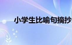 小学生比喻句摘抄大全 小学生比喻句