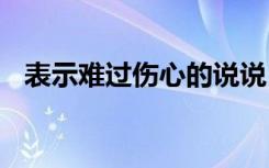 表示难过伤心的说说 表示难过伤心的句子