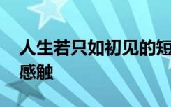 人生若只如初见的短文 人生若只如初见随笔感触