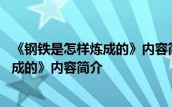 《钢铁是怎样炼成的》内容简介和读后感悟 《钢铁是怎样炼成的》内容简介