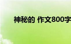 神秘的 作文800字 神秘的作文600字