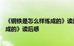 《钢铁是怎么样炼成的》读后感530初二 《钢铁是怎么样炼成的》读后感