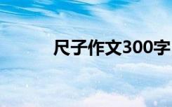 尺子作文300字 尺子作文400字