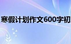 寒假计划作文600字初三 寒假计划作文600字