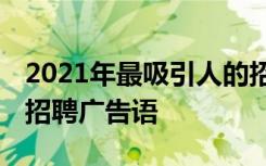 2021年最吸引人的招聘广告语 那些有个性的招聘广告语