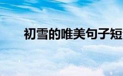 初雪的唯美句子短句 初雪的唯美句子