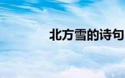 北方雪的诗句 北方下雪诗句