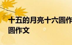 十五的月亮十六圆作文高中 十五的月亮十六圆作文