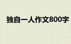 独自一人作文800字 独自一人作文-500字