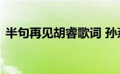 半句再见胡睿歌词 孙燕姿《半句再见》歌词