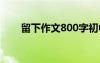 留下作文800字初中 留下作文800字