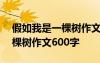 假如我是一棵树作文600字初三 假如我是一棵树作文600字