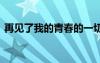 再见了我的青春的一切 再见了我的青春作文