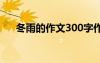 冬雨的作文300字作文 冬雨作文400字