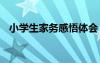 小学生家务感悟体会 小学生参加家务感悟