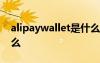 alipaywallet是什么意思 wallet的意思是什么