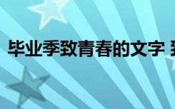 毕业季致青春的文字 致毕业的青春句子短语