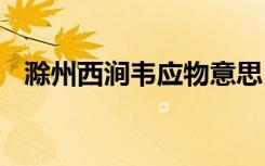 滁州西涧韦应物意思 韦应物滁州西涧诗意