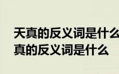 天真的反义词是什么公开的反义词是什么 天真的反义词是什么