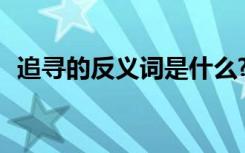 追寻的反义词是什么? 追求的反义词是什么