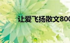 让爱飞扬散文800字 让爱飞扬散文