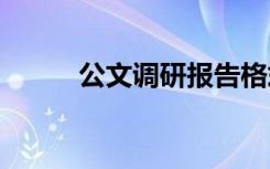 公文调研报告格式 调研报告格式